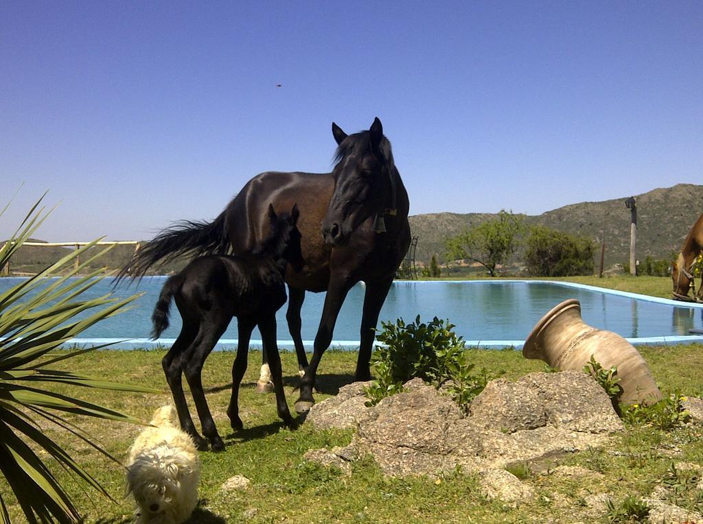 Hosteria Antiguo Refugio Potrero de los Funes Εξωτερικό φωτογραφία